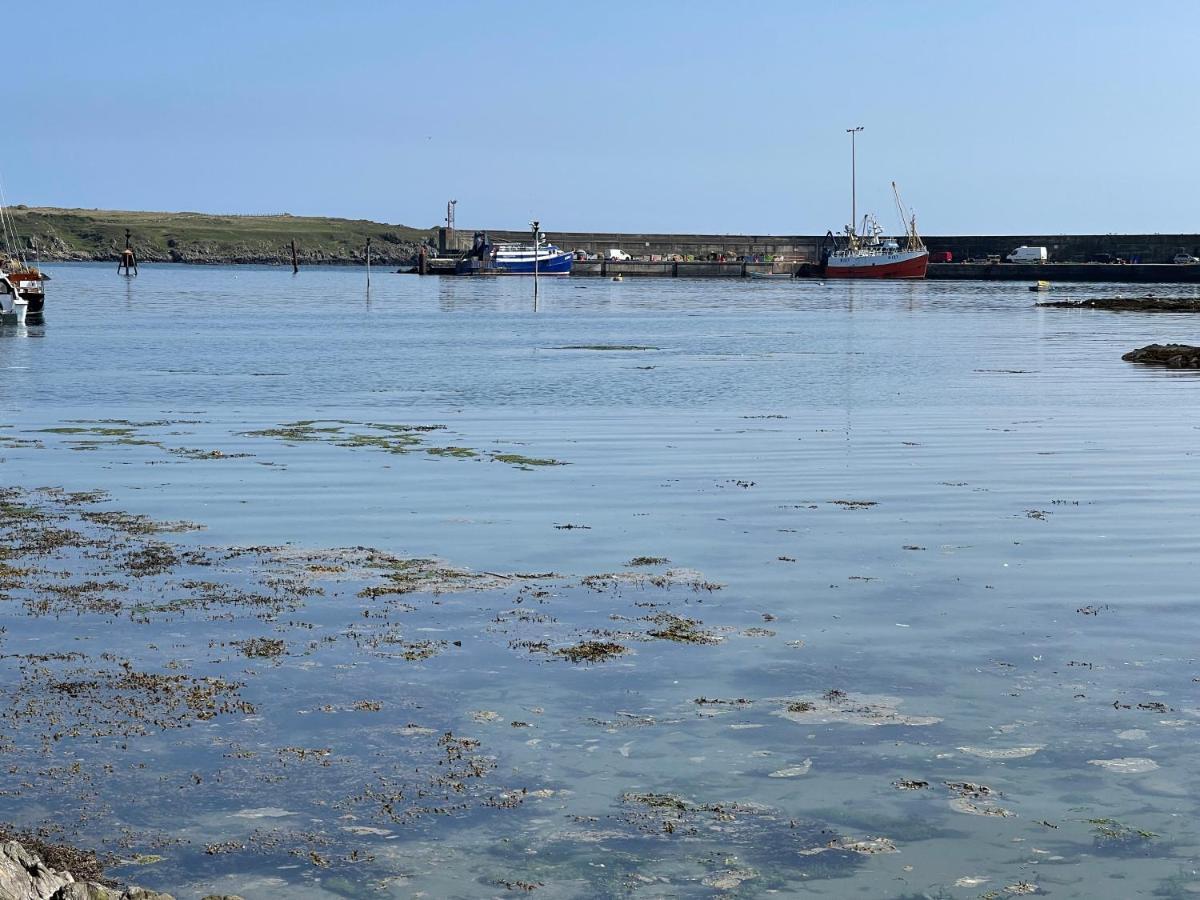 Lovely Apartment Overlooking The Harbour And Bay Ardglass Bagian luar foto